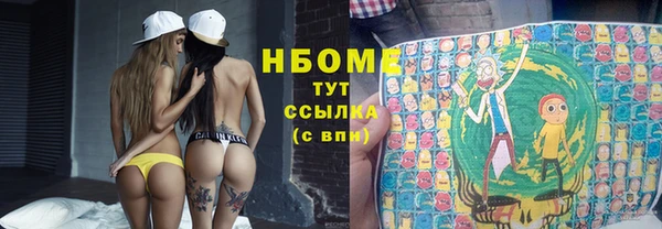сатива Аркадак