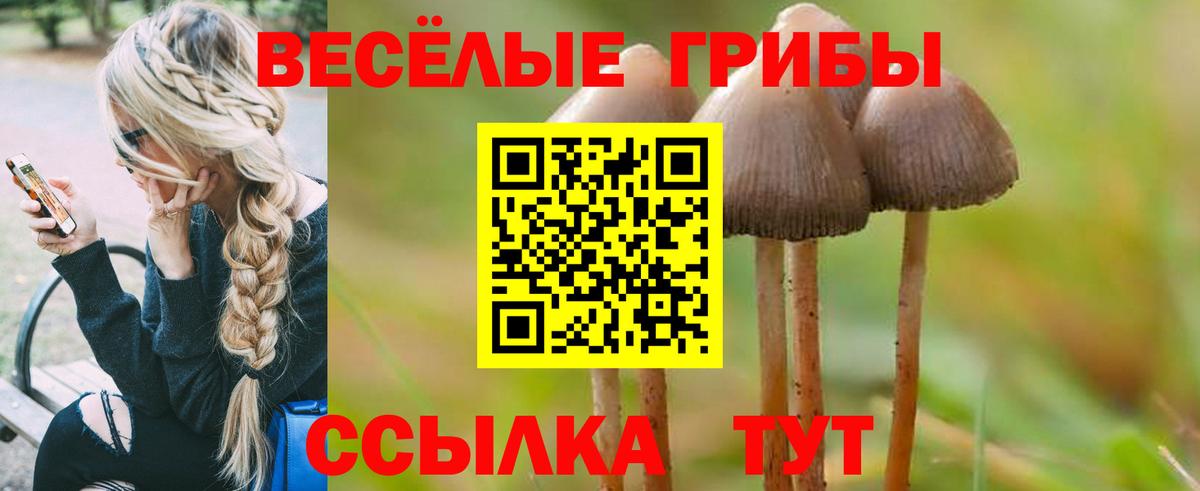 Галлюциногенные грибы мухоморы Гуково