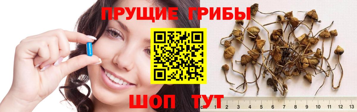 Гуково  Галлюциногенные грибы GOLDEN TEACHER  Вход с VPN 